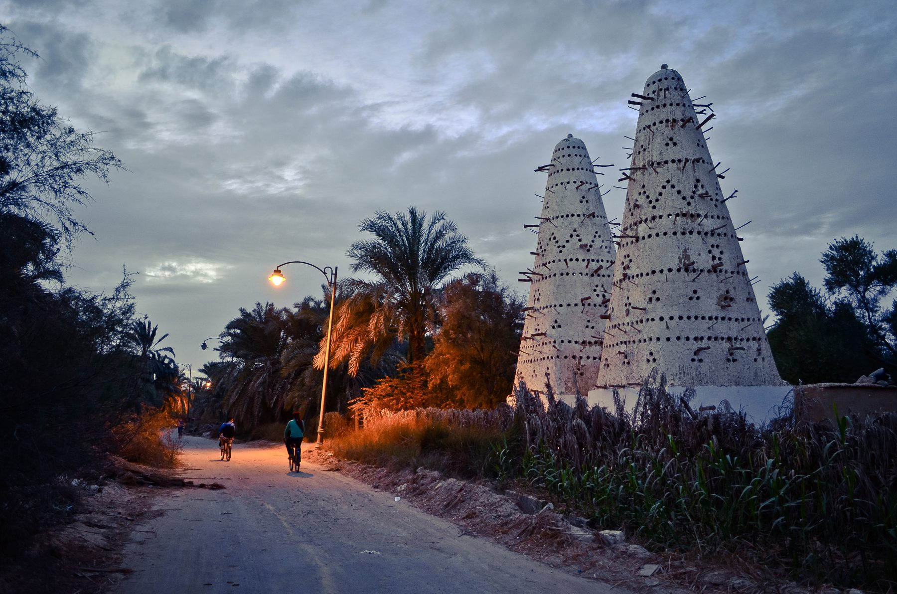 Torres de palomas junto a palmerales en el oasis de Siwa